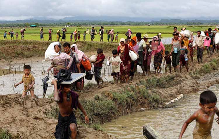 Rohingya4