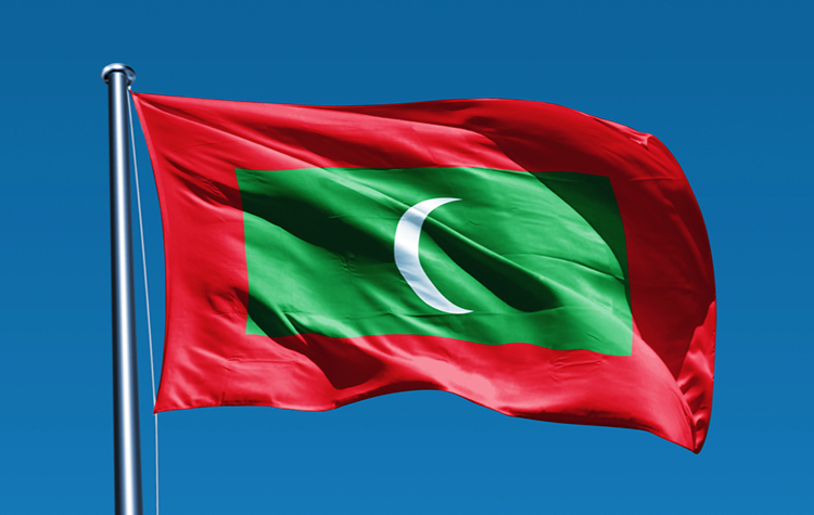 Maldives flag web banner